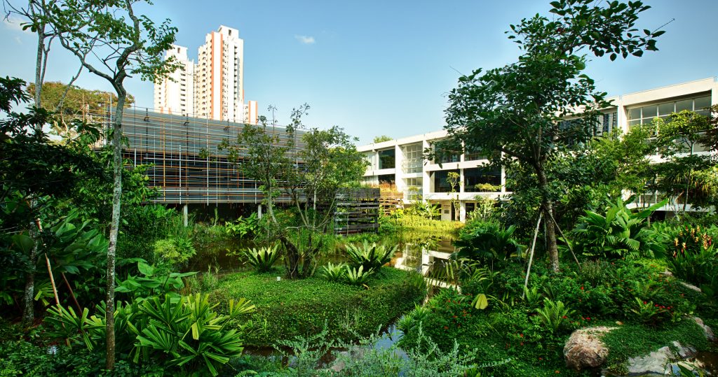 Photo of the main biopond, with the NEST and VILLAGE GREEN blocks in the background
